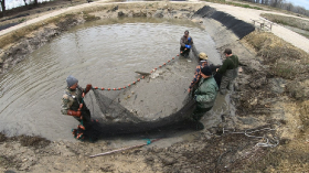 telepites_20190314_2