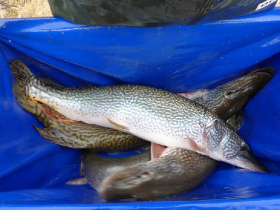 telepites_20190314_4