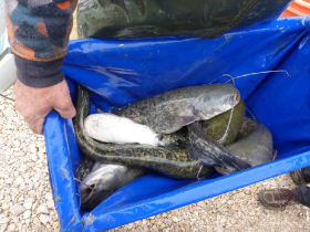 telepites_20190314_6