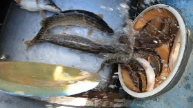 telepites_20190314_9