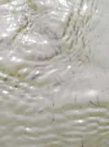 sullo_csuka_ivadek_telepites_20200414_10