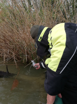 sullo_csuka_ivadek_telepites_20200414_11