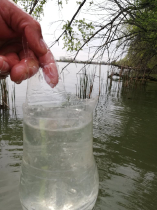 sullo_csuka_ivadek_telepites_20200414_16