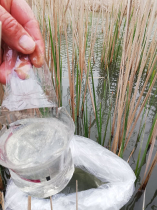 sullo_csuka_ivadek_telepites_20200414_17