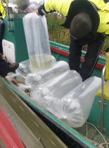 sullo_csuka_ivadek_telepites_20200414_18