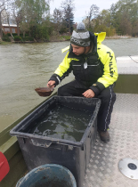 sullo_csuka_ivadek_telepites_20200414_19