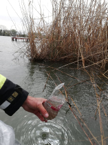 sullo_csuka_ivadek_telepites_20200414_1