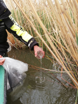 sullo_csuka_ivadek_telepites_20200414_26