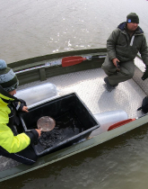 sullo_csuka_ivadek_telepites_20200414_2