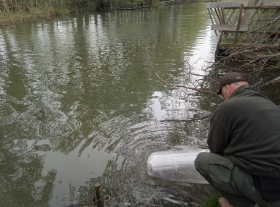 sullo_csuka_ivadek_telepites_20200414_3