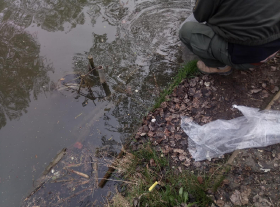 sullo_csuka_ivadek_telepites_20200414_4