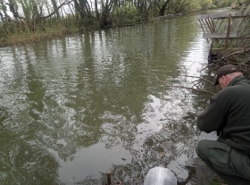 sullo_csuka_ivadek_telepites_20200414_5