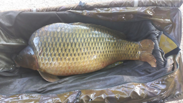 rekordponty_20240821_2