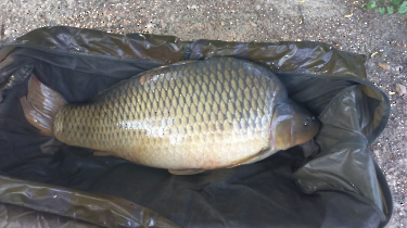 rekordponty_20240821_3