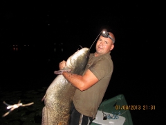 harcsa_hajlemasz_001-2