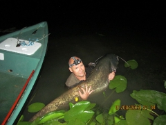 harcsa_hajlemasz_001-3