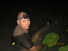 harcsa_hajlemasz_001-4