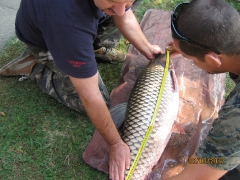 Horváth András 21,6 kg-os amurja (2012.09.02) 