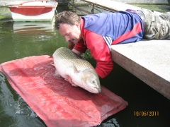 Nagy halak és különleges fogások a Duna-ágon