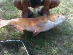 busa_komoroczki_001-4