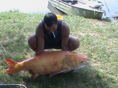 busa_komoroczki_001-5