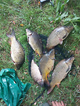 felderites_20230817_4