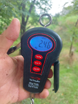 felderites_20230817_5