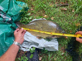 felderites_20230817_6