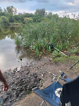 felderites_20230817_8