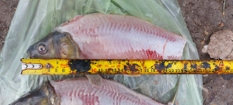 tetteneres_20231110_10