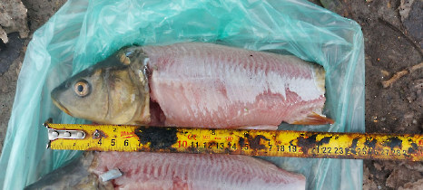 tetteneres_20231110_11