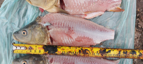 tetteneres_20231110_12