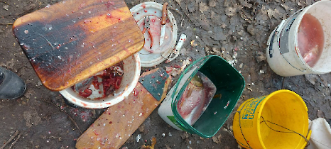 tetteneres_20231110_4