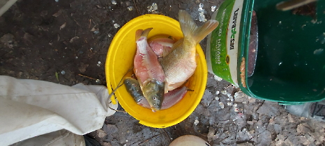 tetteneres_20231110_5