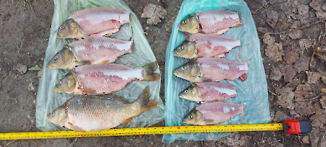 tetteneres_20231110_6