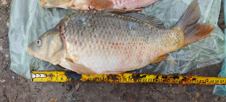 tetteneres_20231110_7