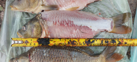 tetteneres_20231110_8