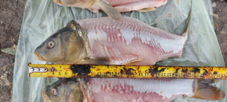 tetteneres_20231110_9