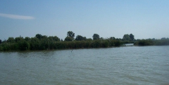 Vegyes képek a Duna-ágról