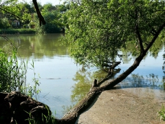 cshe_verseny_2013-34