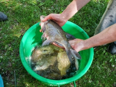 cshe_verseny_2013-76