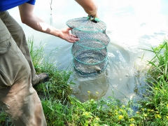 cshe_verseny_2013-82