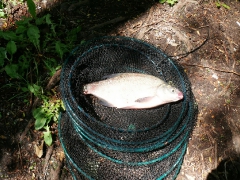 cshe_verseny_2013-84