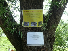 cshe_verseny_2012_13