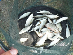 cshe_verseny_2012_30