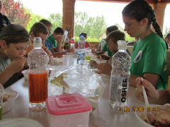 Casting verseny 2018_56