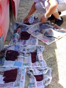 ohcsb_velence_2007_11