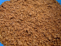 ohcsb_velence_2007_27