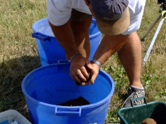 ohcsb_velence_2007_30