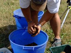 ohcsb_velence_2007_31